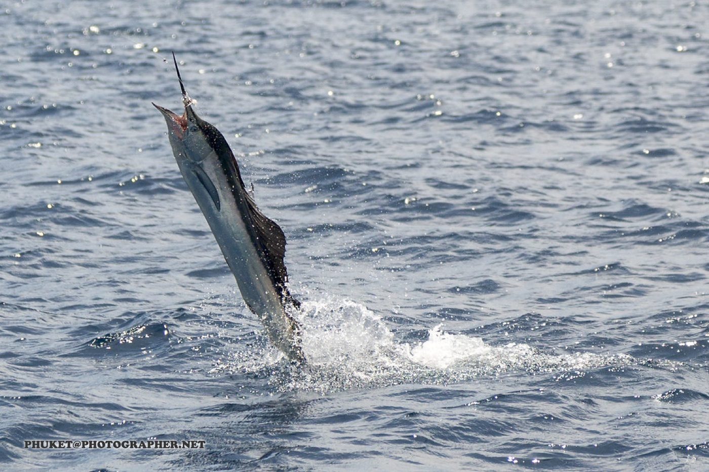 Fishing in Palm Beach